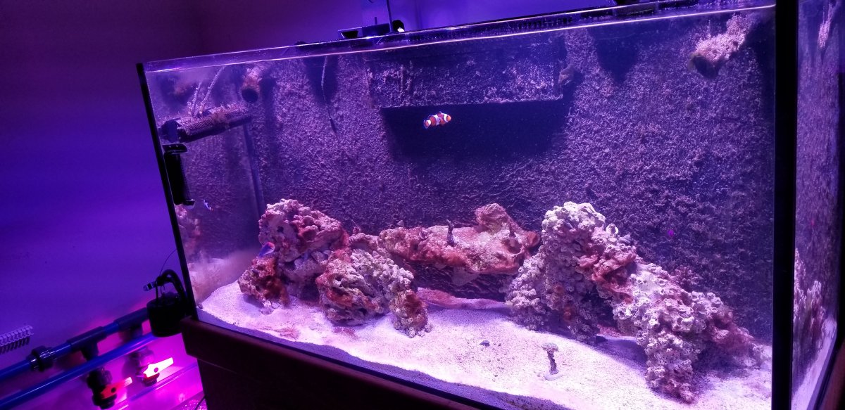 20180727_215314.jpg