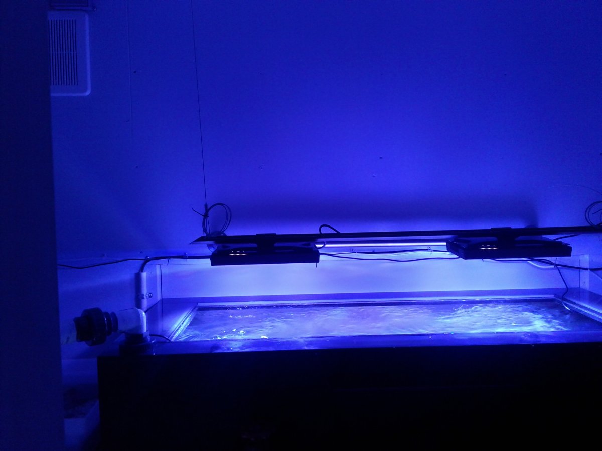 20180728_130302.jpg