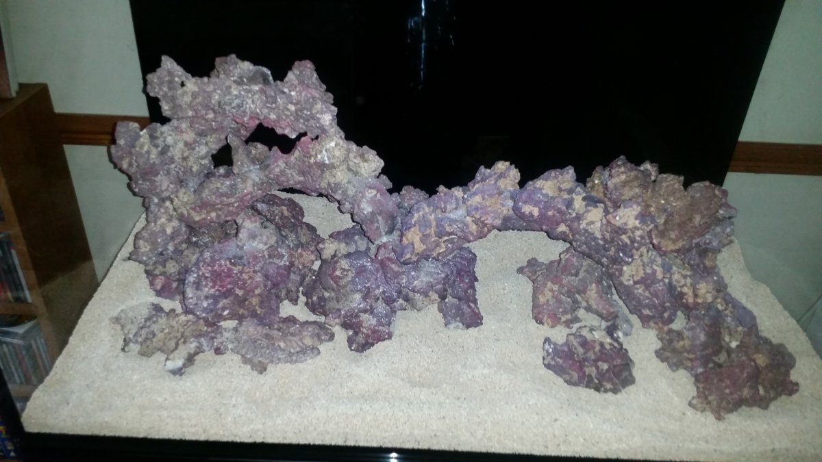 Please show your tanks with center overflow scapes | Page 2 | Reef2Reef