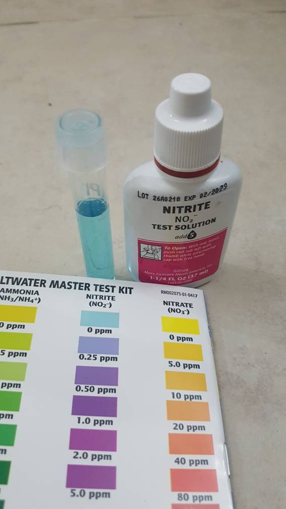 Api Saltwater Test Kit Color Chart