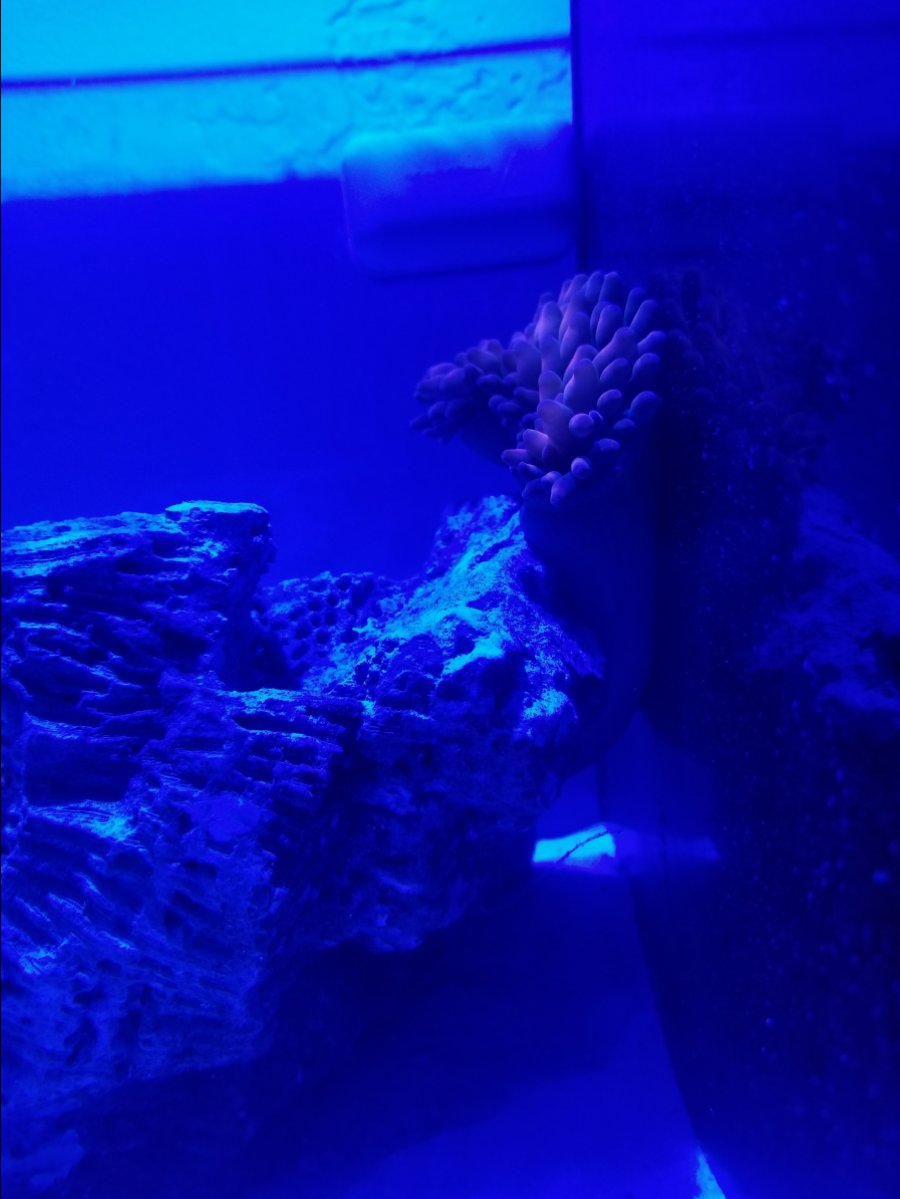 20180730_173726.jpg