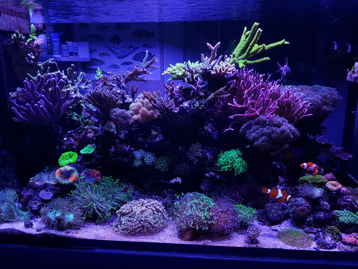 20180730_195601.jpg
