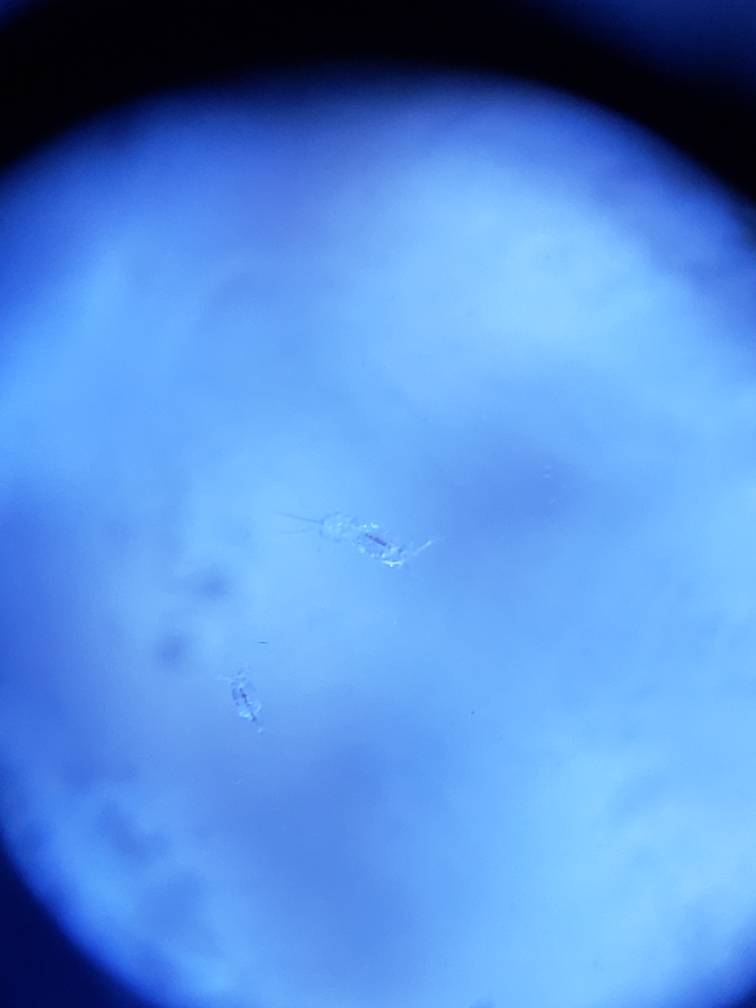 20180731_202317.jpeg