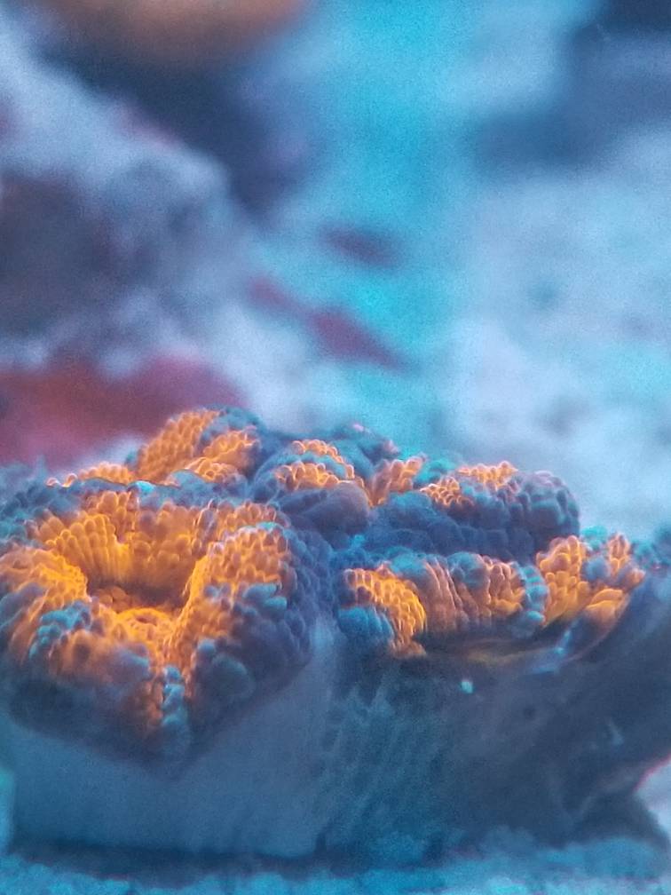 20180802_130101.jpeg