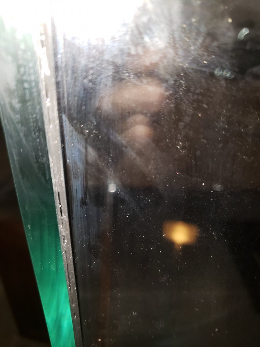 20180802_131148_resized.jpg
