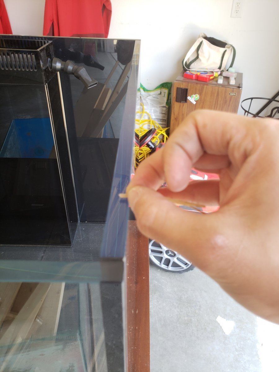 20180802_141604_resized.jpg