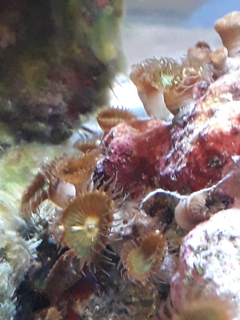 20180805_145935.jpeg