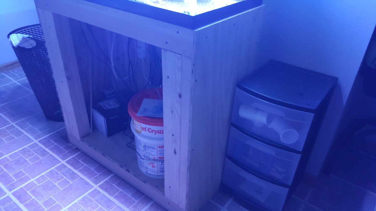 20180805_170141.jpg