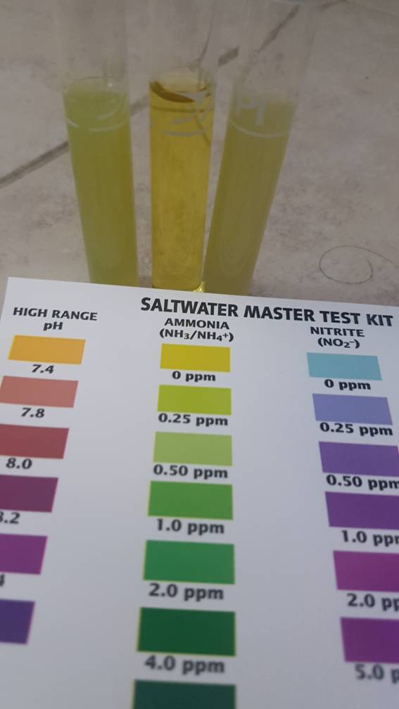 20180806_175731.jpeg