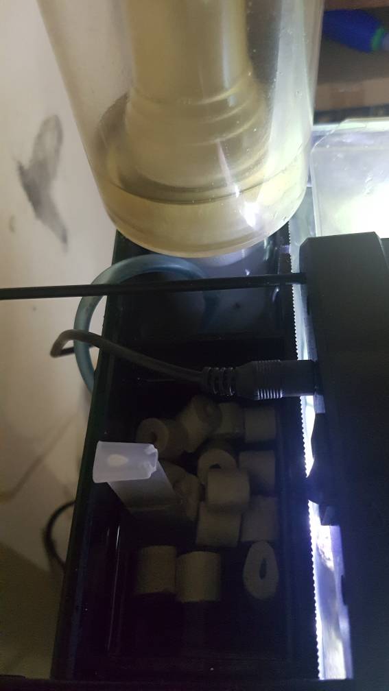 20180806_203826.jpeg