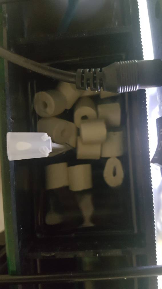 20180806_203832.jpeg