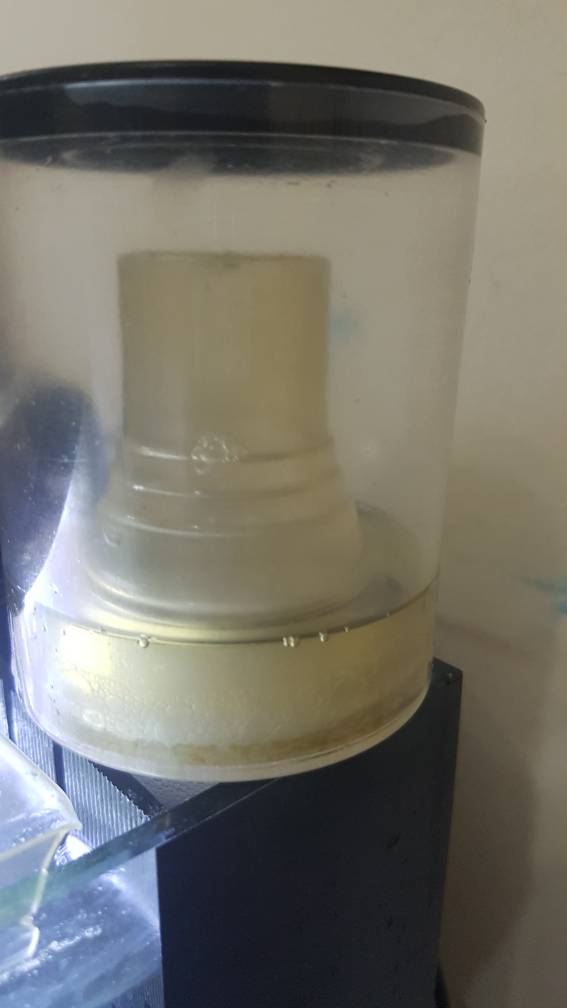 20180806_204424.jpeg