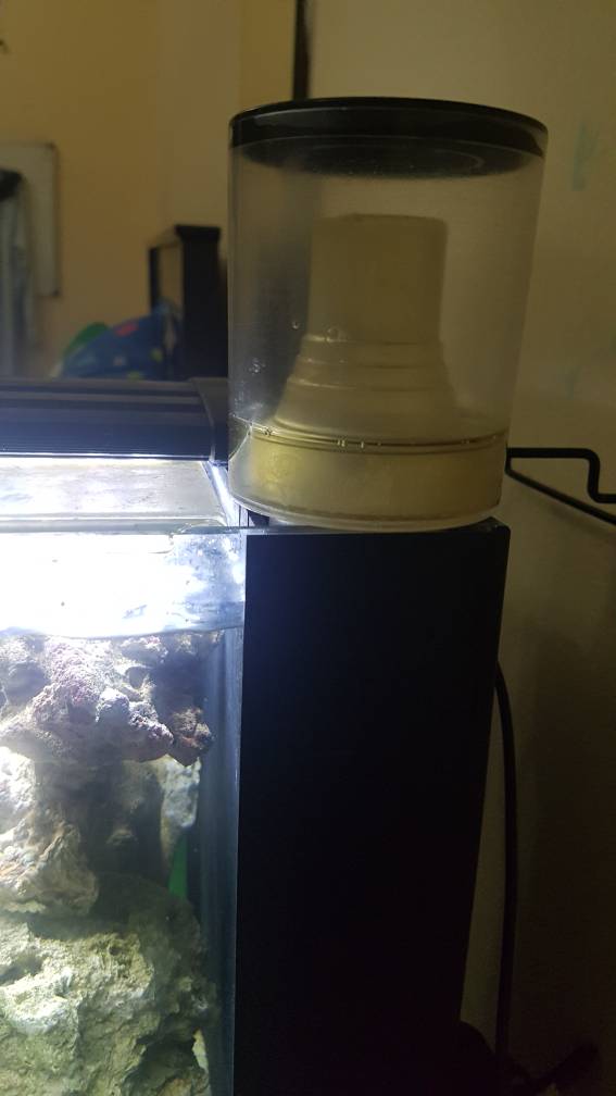 20180806_205738.jpeg