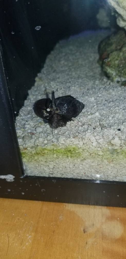20180809_210553.jpeg