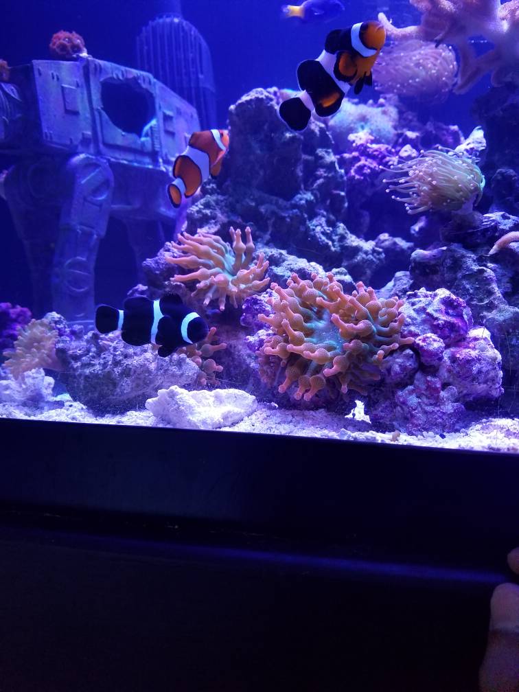 20180810_160636.jpeg