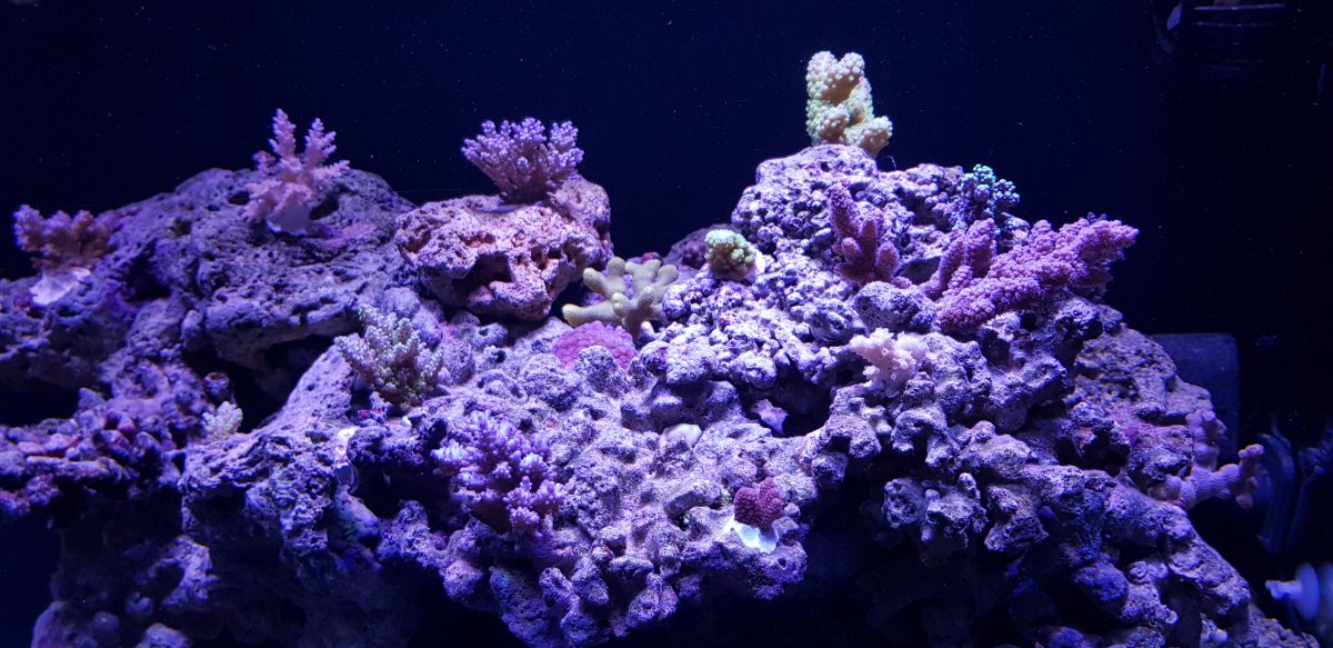 20180811_100645.jpg