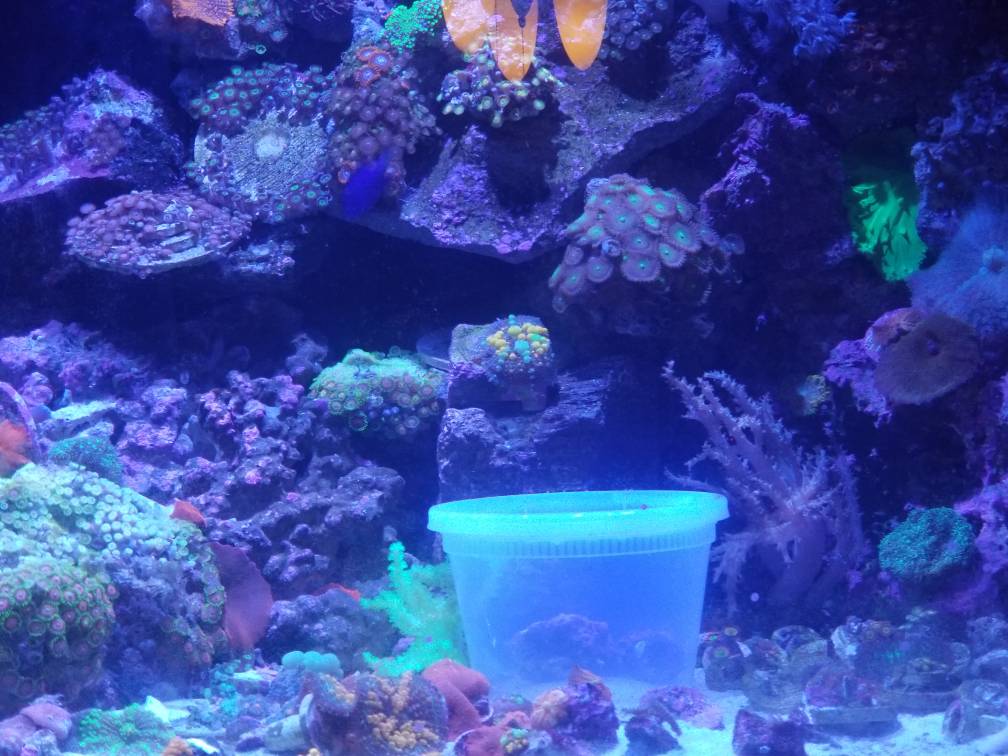 20180811_214122.jpeg