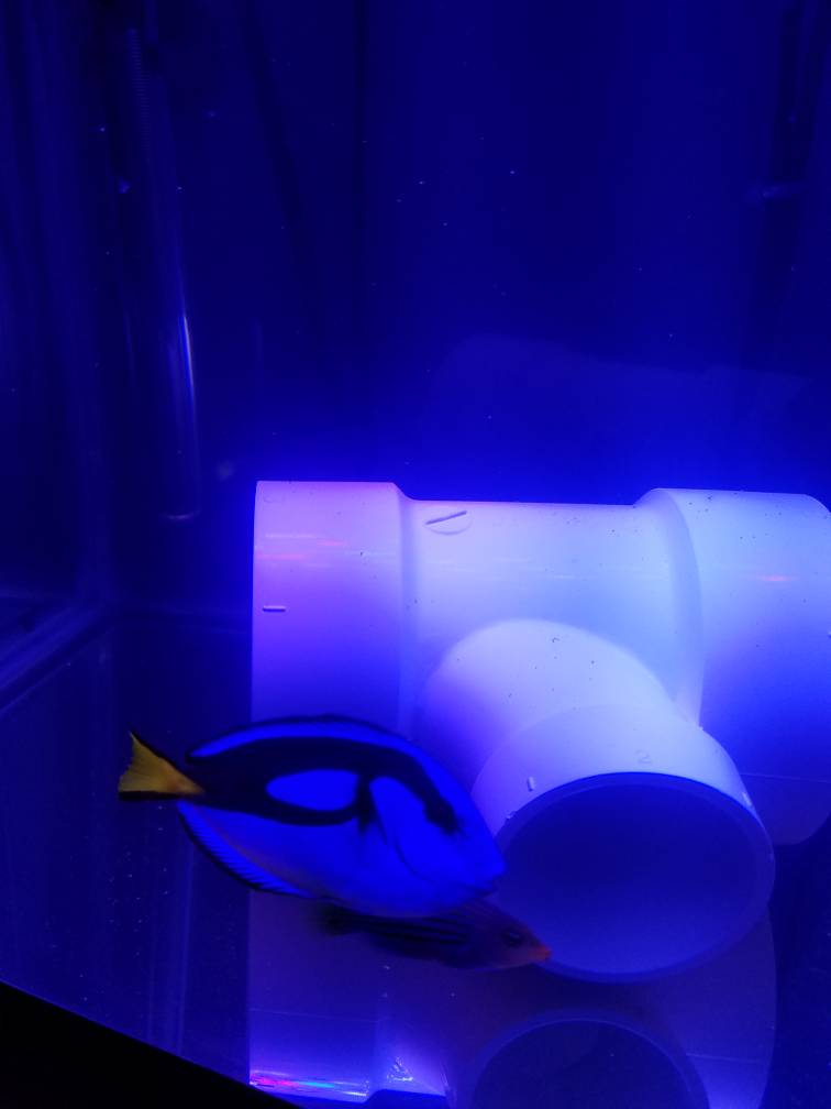 20180813_204025.jpeg
