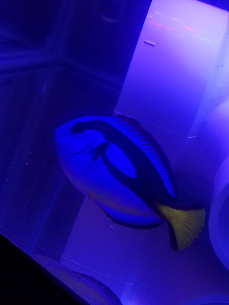 20180813_212345~2.jpeg