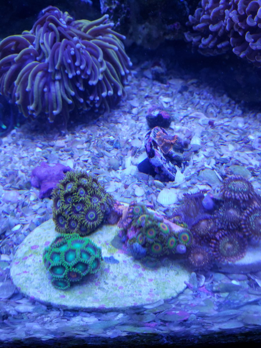 20180815_154229.jpg