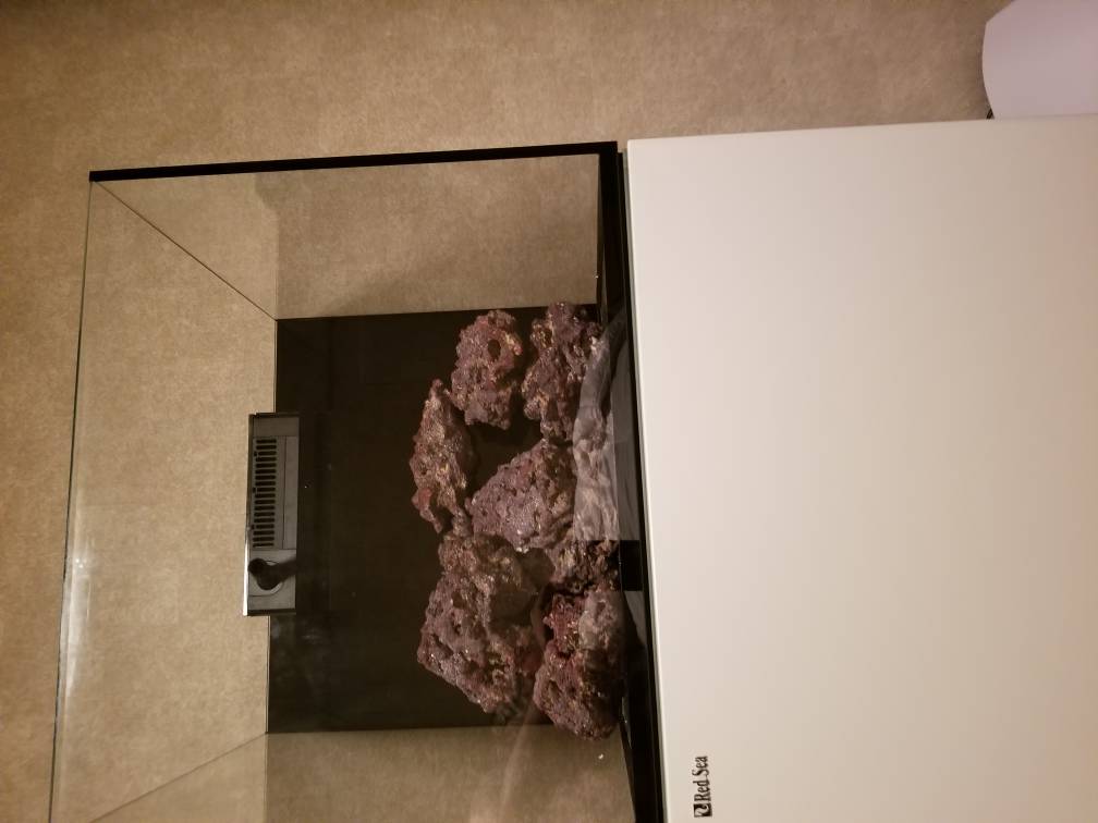 20180816_201543.jpeg
