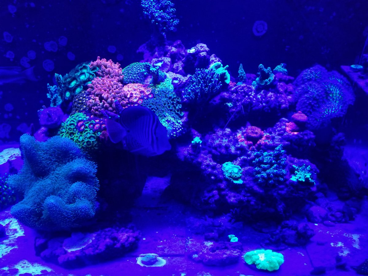 20180819_005852.jpg