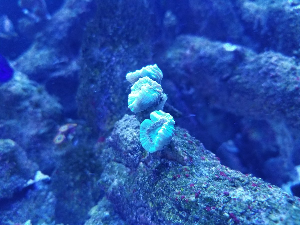 20180820_211507.jpg