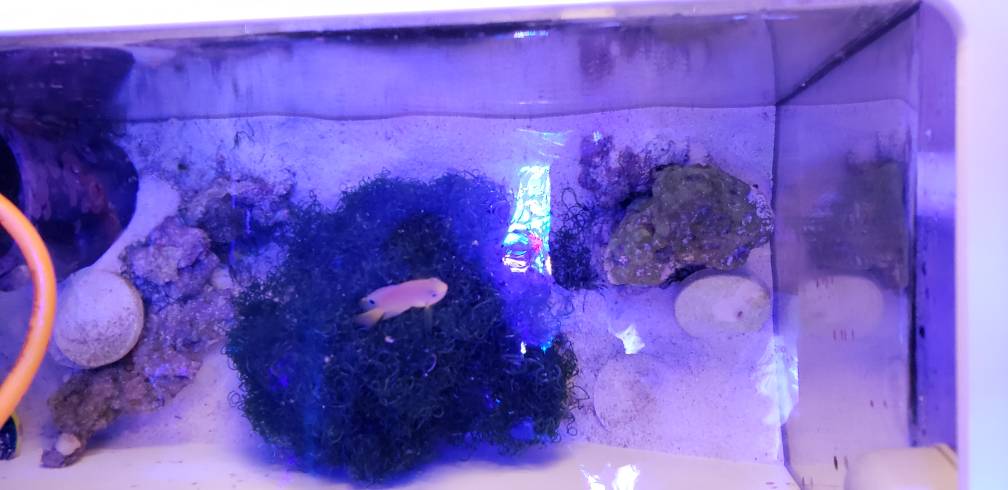 20180821_181751.jpeg