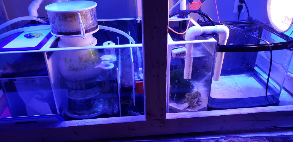 20180821_200826.jpeg