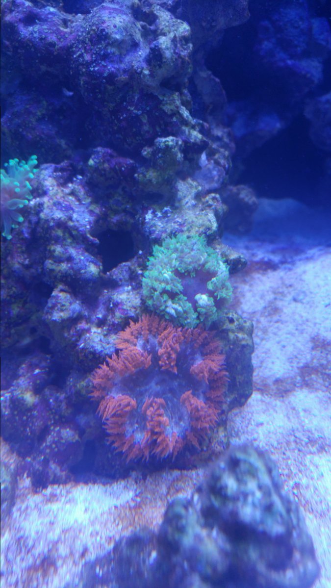 20180822_210633.jpg