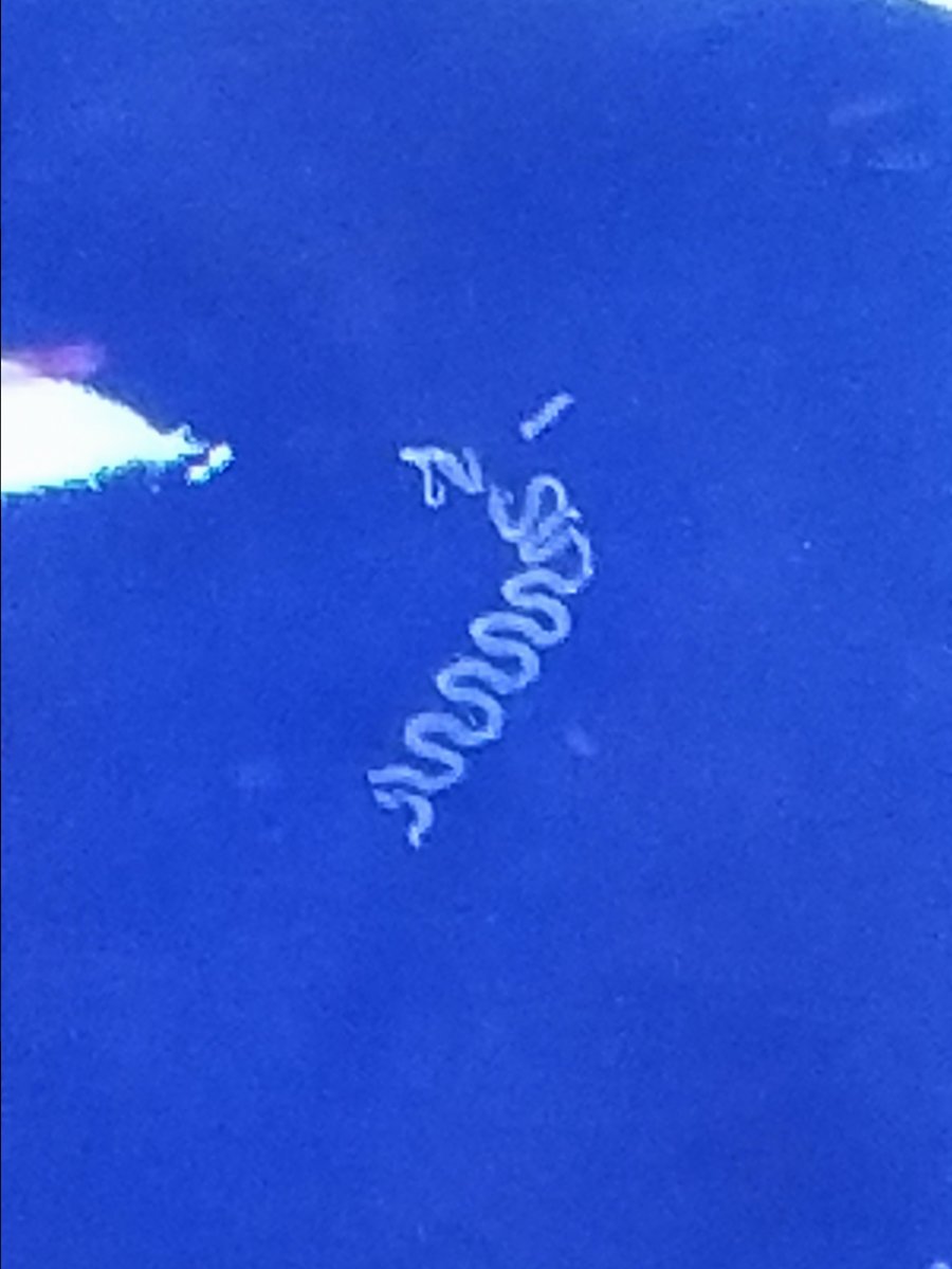 20180825_173902.jpg