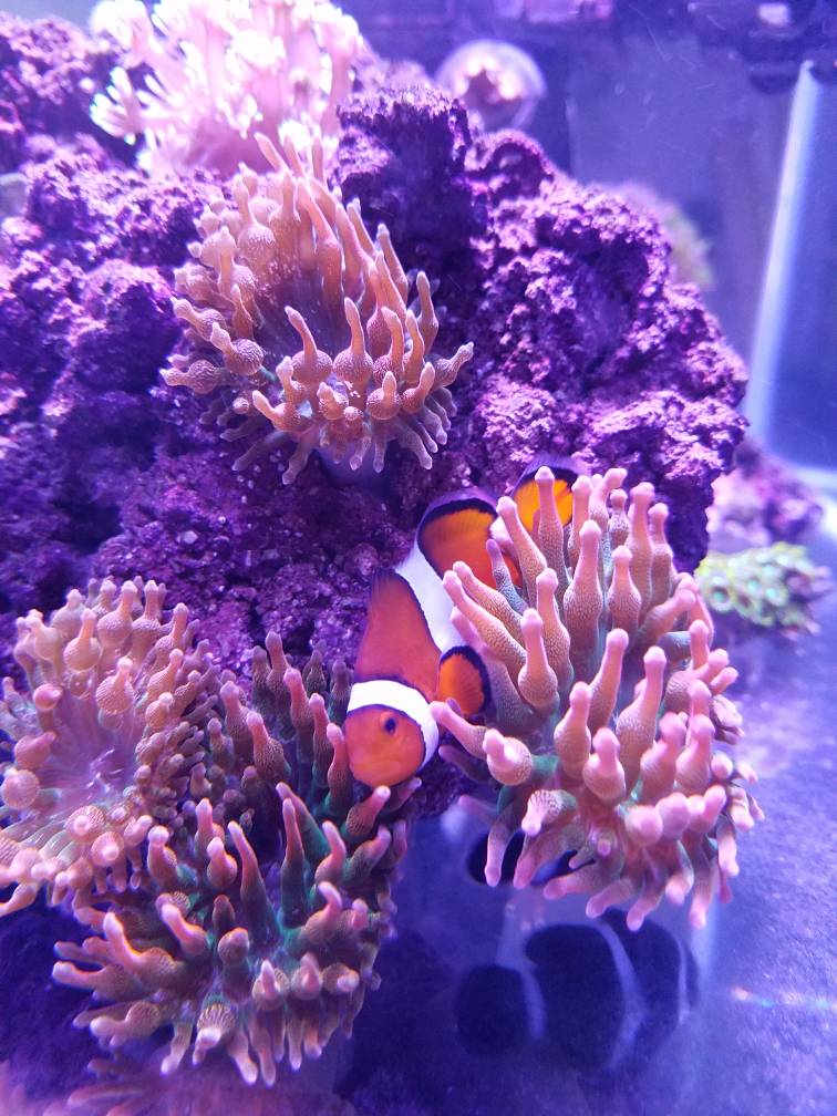 20180825_182141.jpeg