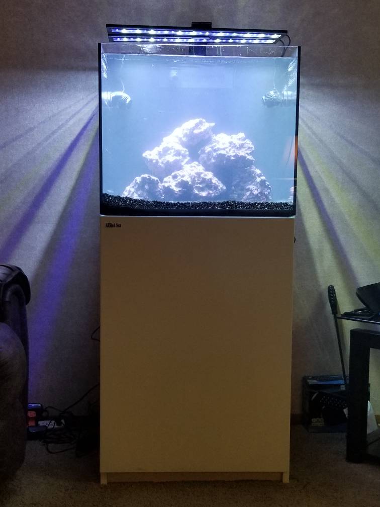 20180828_221013.jpeg