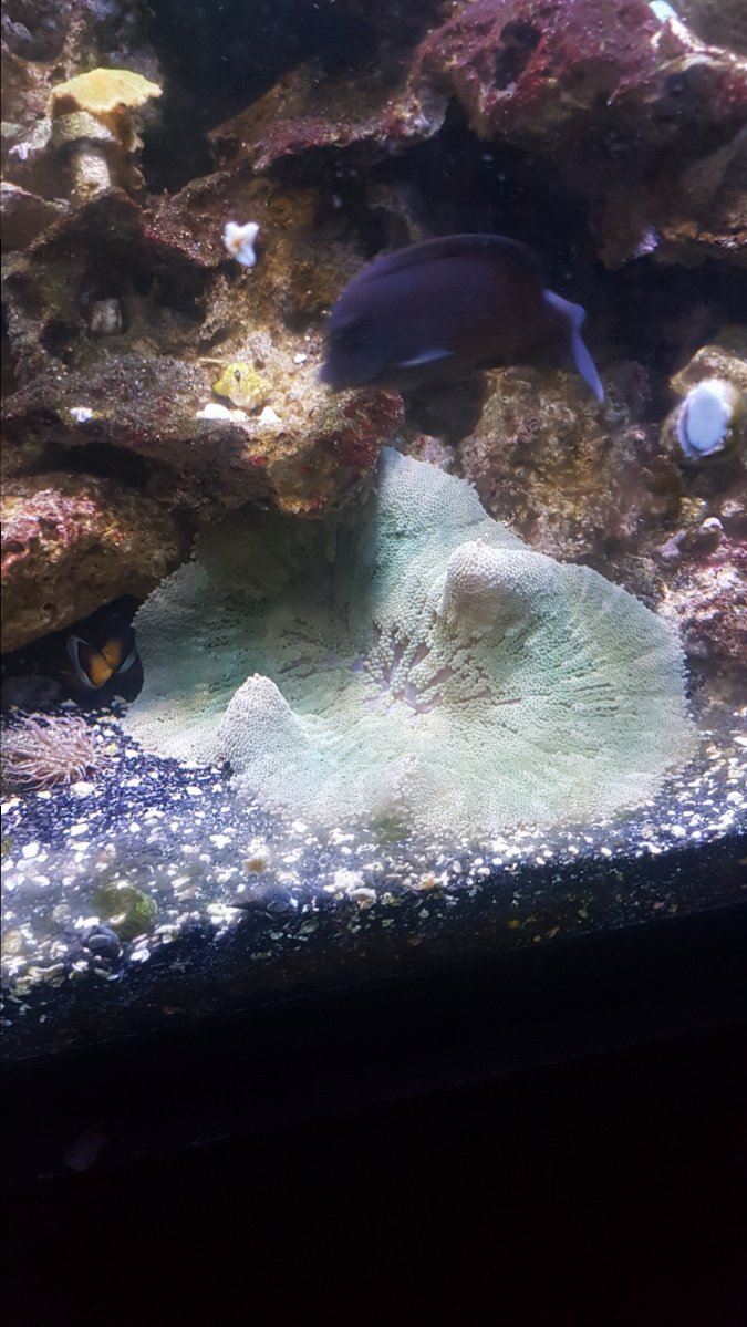 20180830_145822.jpg