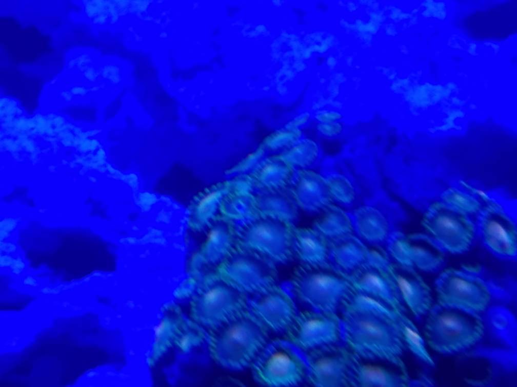 20180830_210235.jpeg