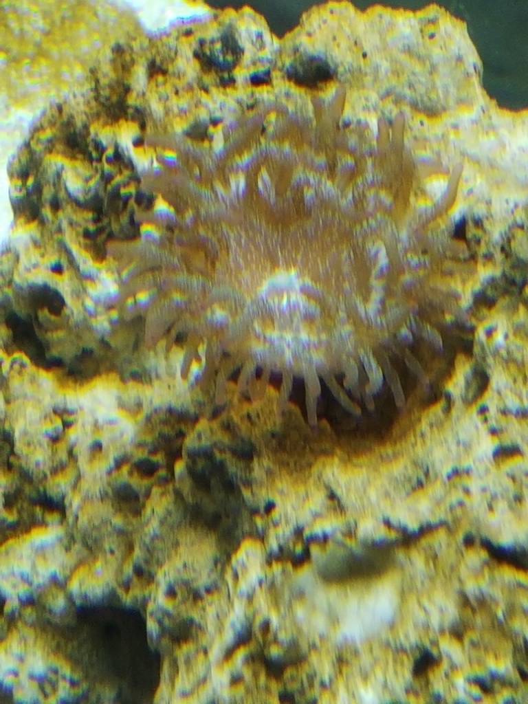20180831_122247.jpeg