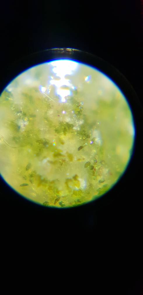 20180831_203035.jpeg