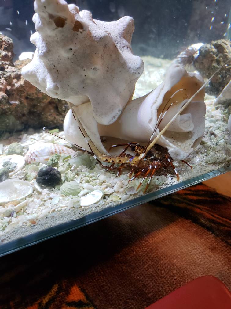 20180831_210357.jpeg