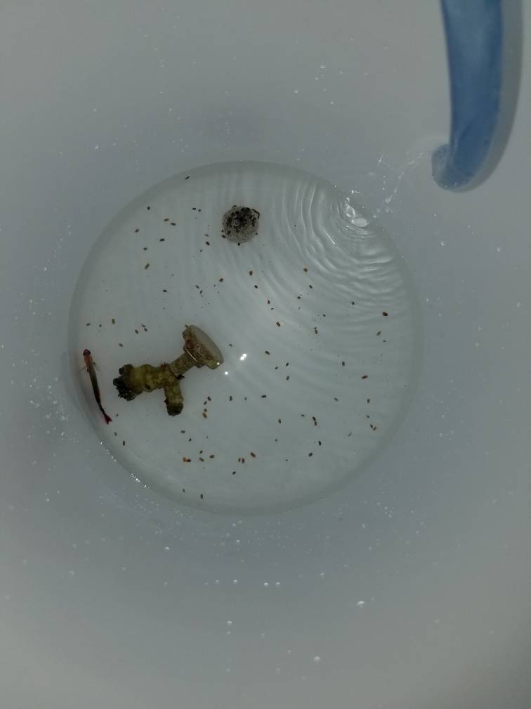 20180902_145539.jpeg