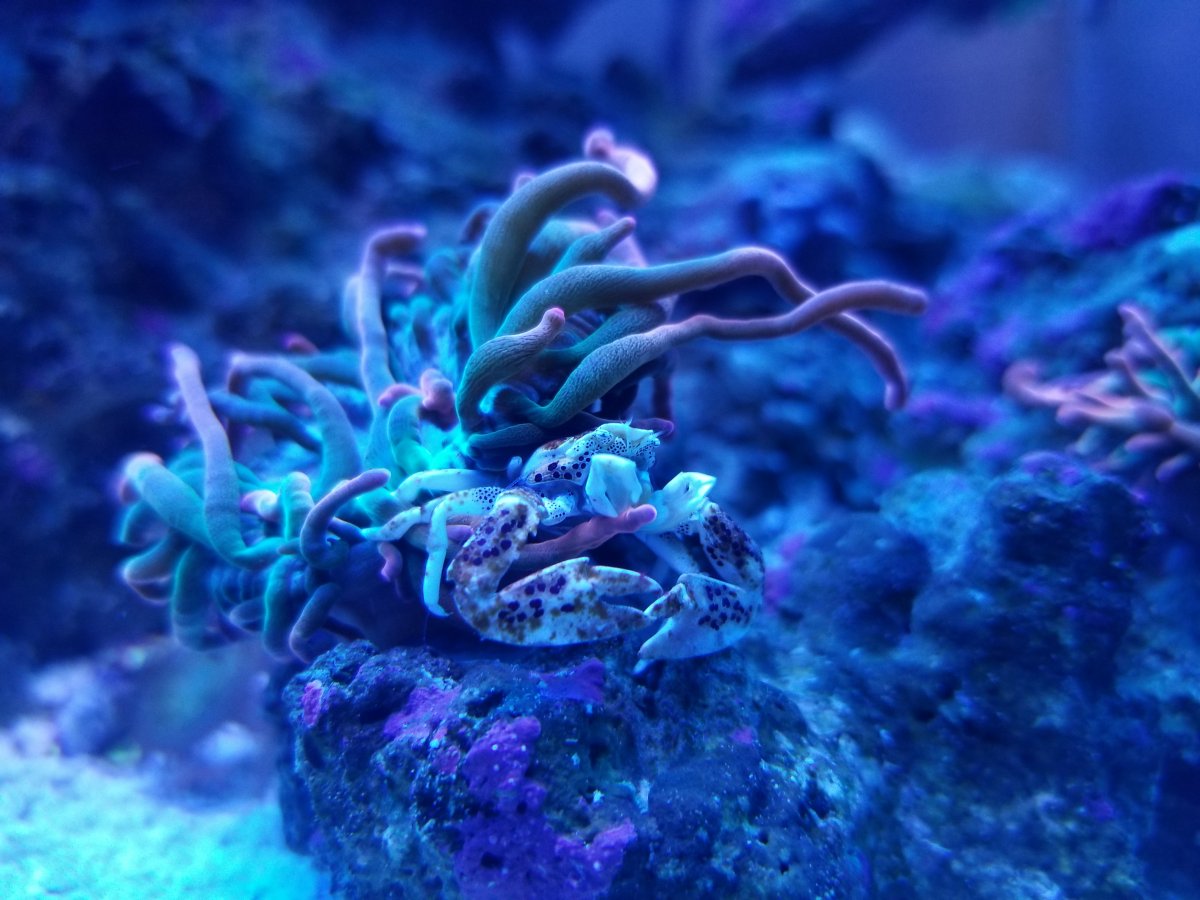 20180902_190150.jpg