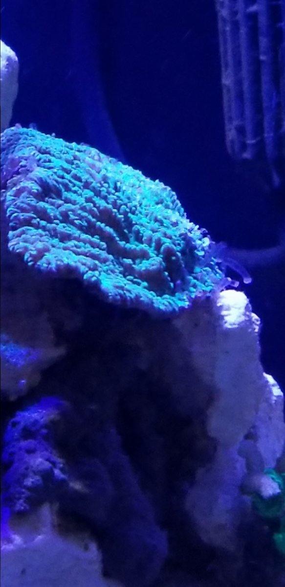 20180902_191034.jpg