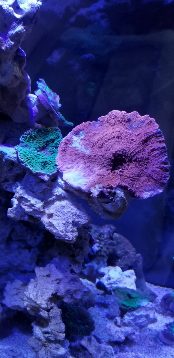 20180902_191154.jpg