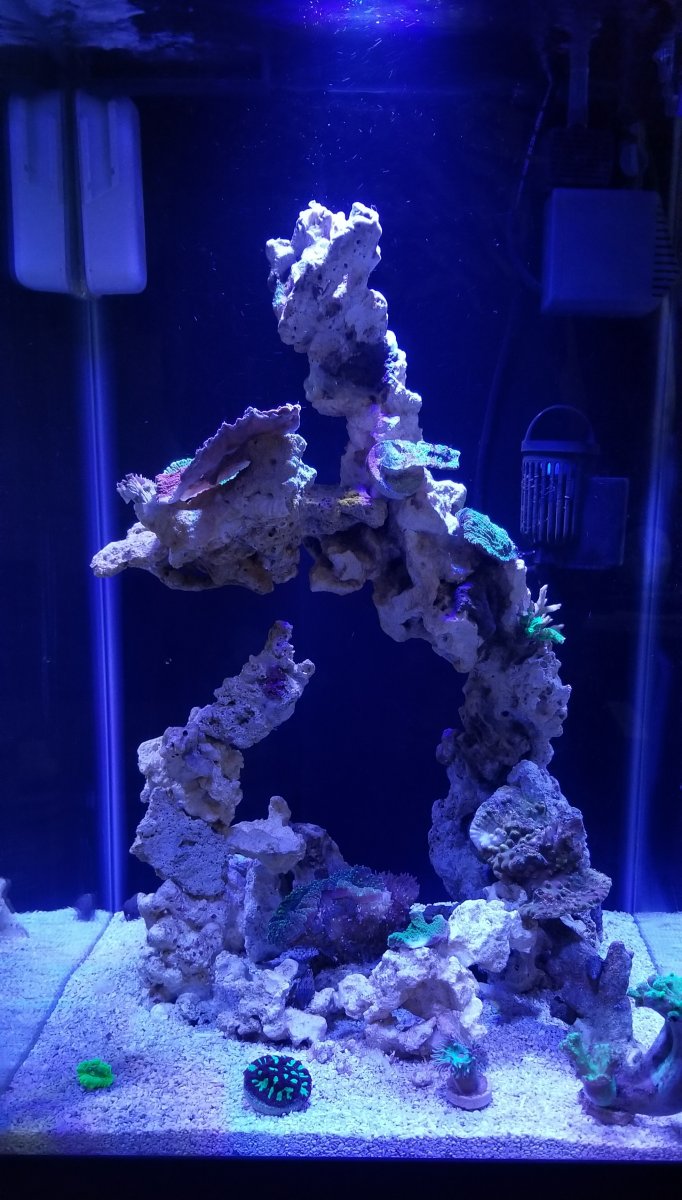 20180902_194525.jpg