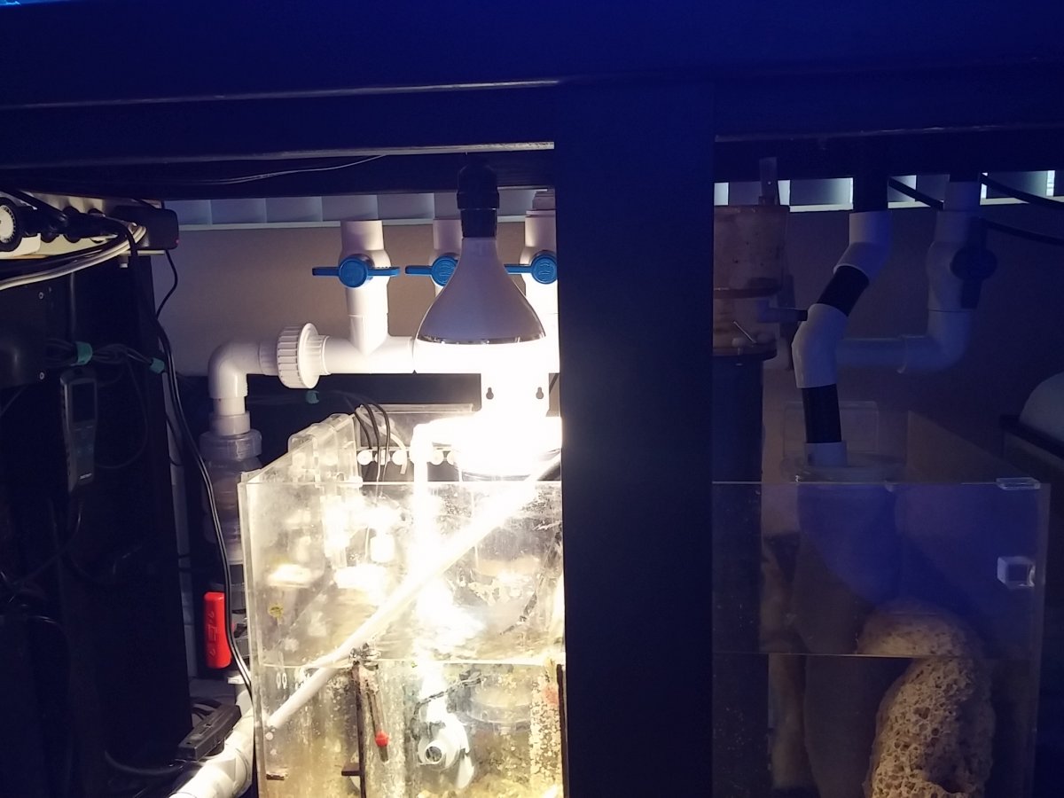 20180903_174319.jpg