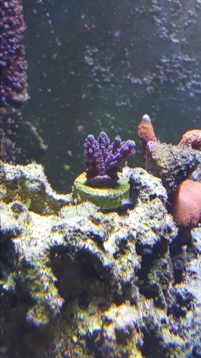 20180903_202411.jpg