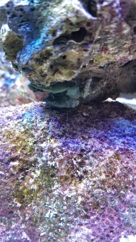 20180903_202940.jpeg