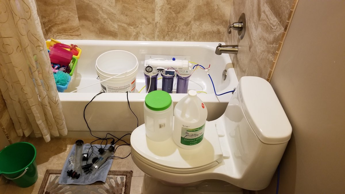 20180903_204816.jpg