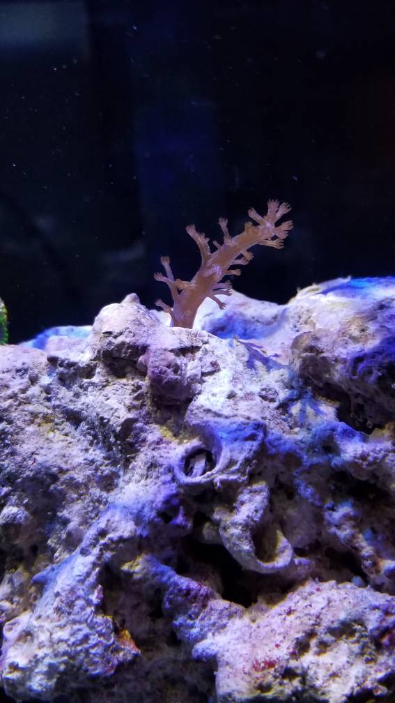 20180903_205319.jpeg
