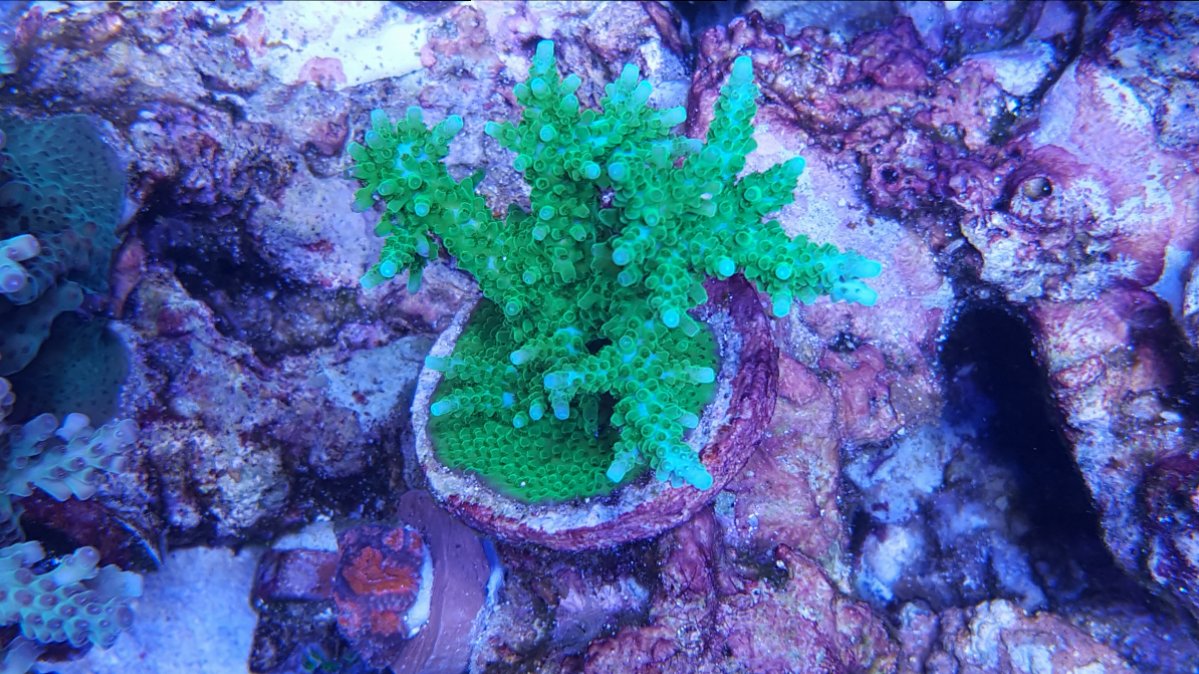 20180904_132322.jpg