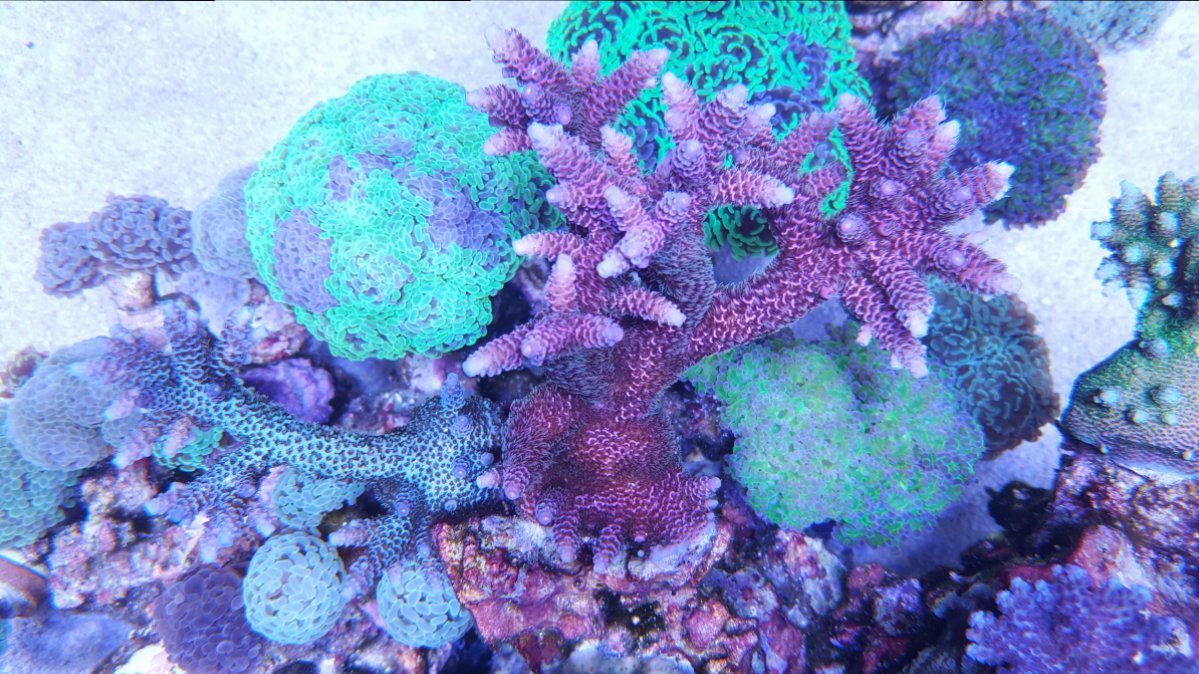 20180904_132402.jpg